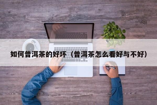 如何普洱茶的好坏（普洱茶怎么看好与不好）
