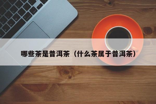 哪些茶是普洱茶（什么茶属于普洱茶）
