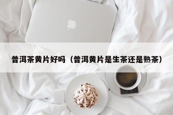 普洱茶黄片好吗（普洱黄片是生茶还是熟茶）