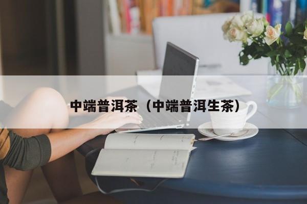 中端普洱茶（中端普洱生茶）