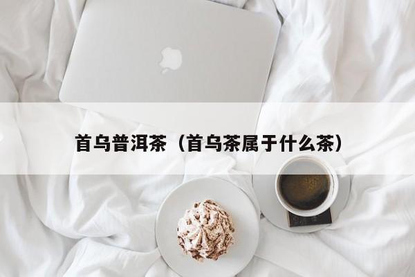 首乌普洱茶（首乌茶属于什么茶）
