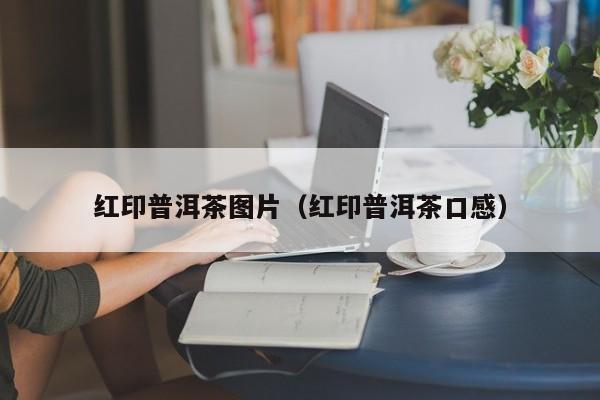 红印普洱茶图片（红印普洱茶口感）