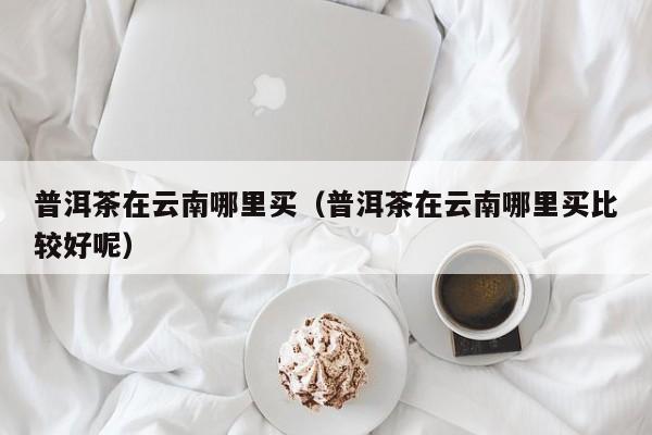 普洱茶在云南哪里买（普洱茶在云南哪里买比较好呢）