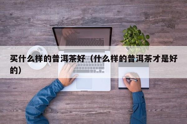 买什么样的普洱茶好（什么样的普洱茶才是好的）