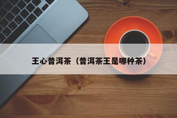 王心普洱茶（普洱茶王是哪种茶）