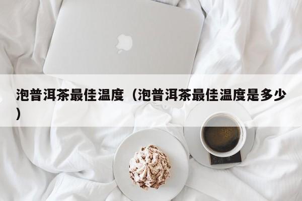 泡普洱茶最佳温度（泡普洱茶最佳温度是多少）
