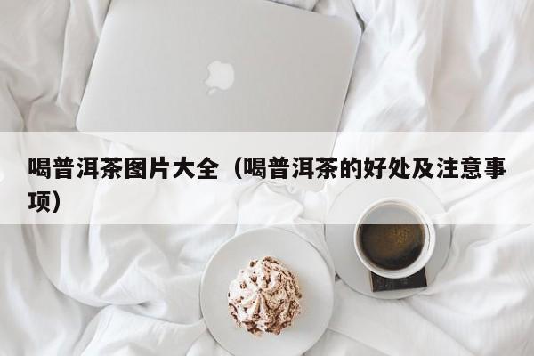 喝普洱茶图片大全（喝普洱茶的好处及注意事项）