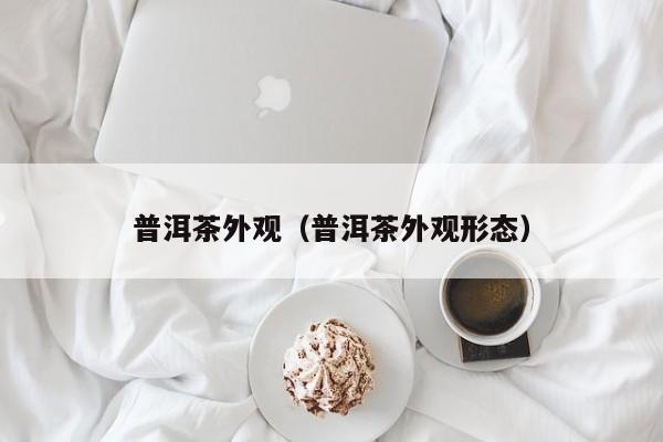 普洱茶外观（普洱茶外观形态）