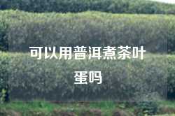 可以用普洱煮茶叶蛋吗