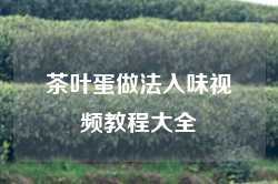 茶叶蛋做法入味视频教程大全