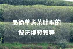 最简单煮茶叶蛋的做法视频教程
