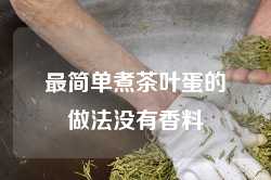 最简单煮茶叶蛋的做法没有香料