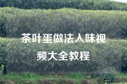 茶叶蛋做法入味视频大全教程