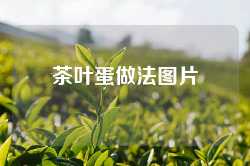 茶叶蛋做法图片