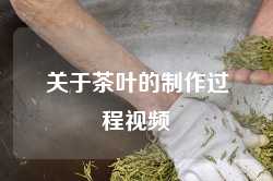关于茶叶的制作过程视频