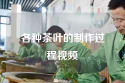 各种茶叶的制作过程视频