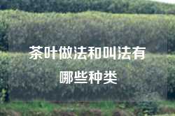 茶叶做法和叫法有哪些种类