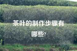 茶叶的制作步骤有哪些?
