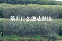 茶叶什么做法好喝