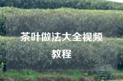 茶叶做法大全视频教程