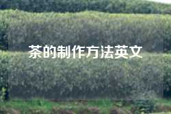 茶的制作方法英文