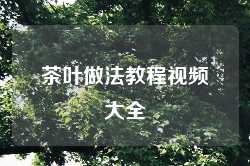 茶叶做法教程视频大全