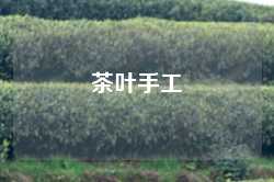茶叶手工