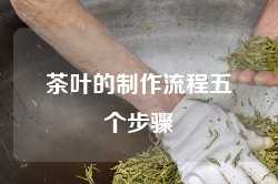 茶叶的制作流程五个步骤