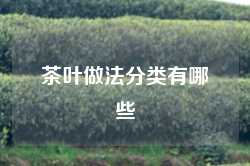 茶叶做法分类有哪些