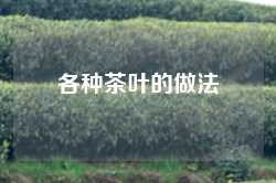 各种茶叶的做法