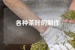 各种茶叶的制作
