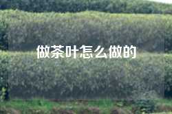 做茶叶怎么做的