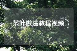 茶叶做法教程视频