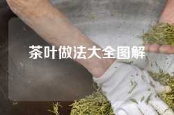 茶叶做法大全图解