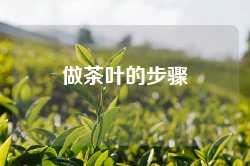 做茶叶的步骤