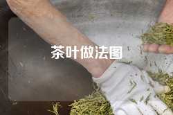 茶叶做法图