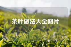 茶叶做法大全图片