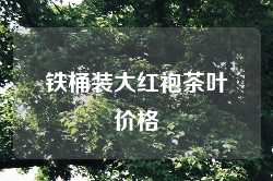 铁桶装大红袍茶叶价格