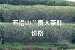 五指山兰贵人茶叶价格