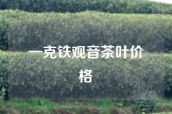 一克铁观音茶叶价格