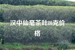 汉中仙毫茶叶80克价格
