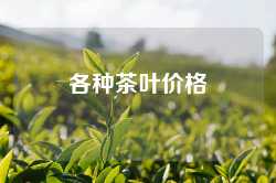 各种茶叶价格