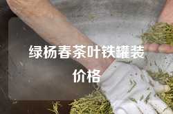 绿杨春茶叶铁罐装价格