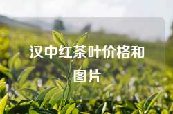 汉中红茶叶价格和图片