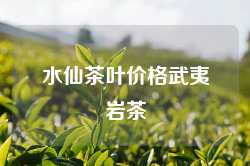 水仙茶叶价格武夷岩茶