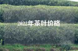 2022年茶叶价格