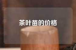 茶叶苗的价格