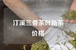 汀溪兰香茶叶新茶价格