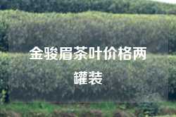 金骏眉茶叶价格两罐装
