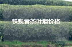 铁观音茶叶烟价格